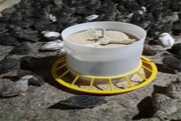 دانخوری بشقابی کوناوی طرح آمریکایی