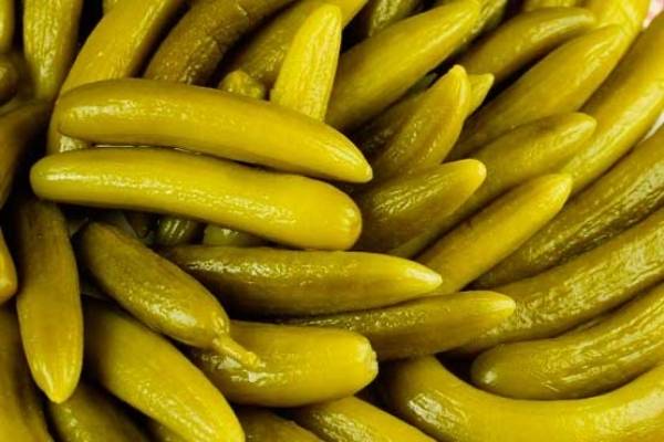 خیارشور آقابالی کرج
