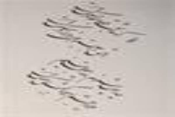 دوره تخصصی خوشنویسی در آموزشگاه پارسا