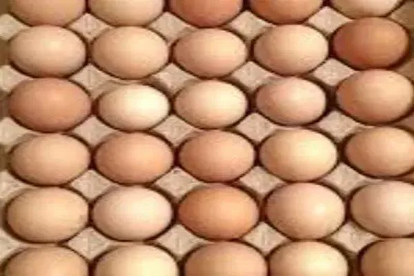 تخم مرغ بومی