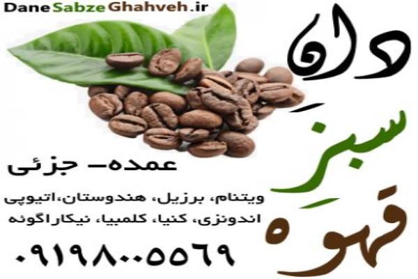 دان سبز قهوه