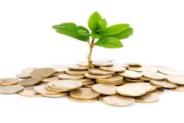 سرمایه گذاری در بخش کشاورزی و دامپروری