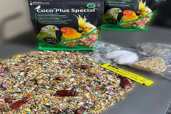 دانه کوکو پلاس اسپشیال خوراک طوطی سانان عروس هلندی گرینچیک برزیلی راهب