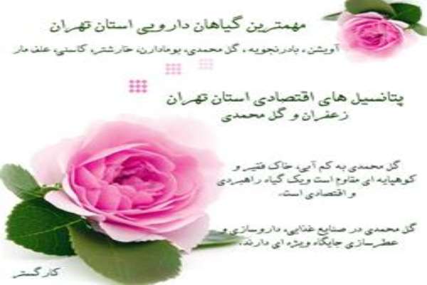آموزش مجازی دوره های کشاورزی - استان البرز
