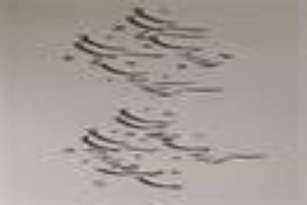 دوره تخصصی خوشنویسی در آموزشگاه پارسا