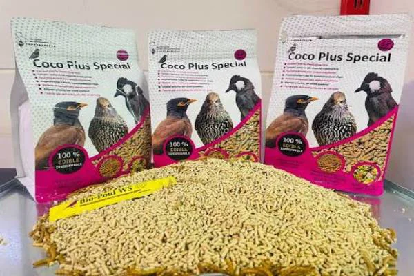 غذای مرغ مینا و بلبل کوکو پلاس اسپشیال بهمرا جایزه دانه مینا بلبل