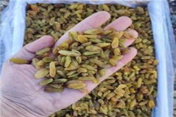 صادرات و واردات خشکبار و گیاهان دارویی و عطاری