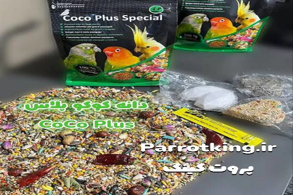 دانه پرنده کوکو پلاس طوطی گرینچیک عروس هلندی برزیلی