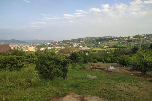 image_1