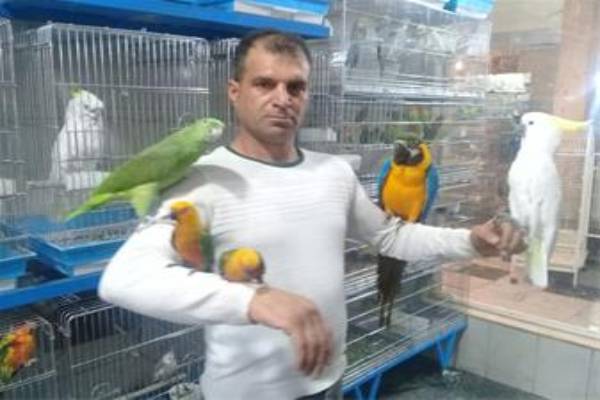 image_2