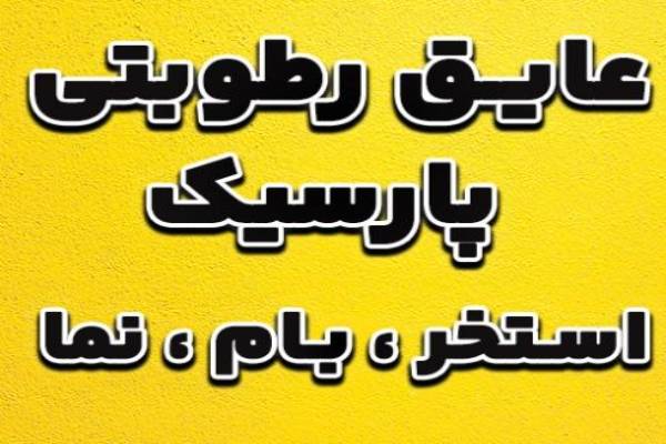 نانو عایق رطوبتی پارسیک،عایق استخر،سرویس،بام،نما