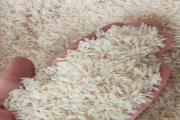 برنج هاشمی درجه یک ارگانیک شهر نور