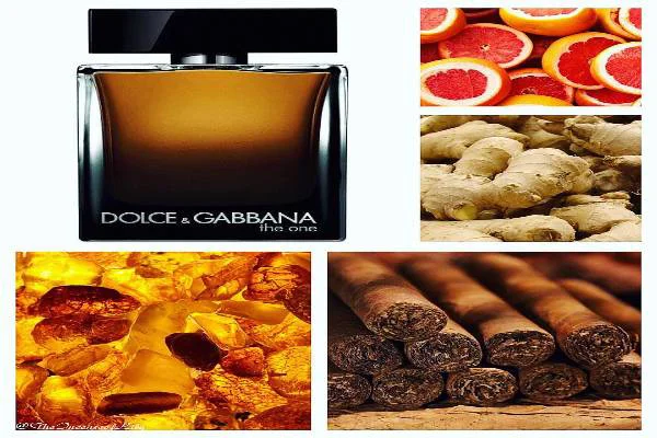 دولچیگابانا اد پرفیوم اورجینال