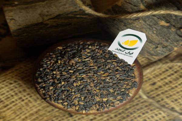 فروش مستقیم و بدون واسطه کنجد افغانستان و کنجد پاکستان