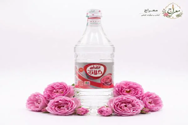 گلاب کاشان